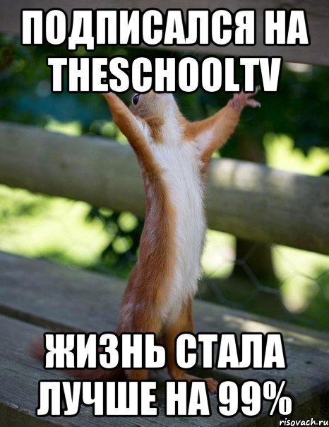 Подписался на TheSchoolTV Жизнь стала лучше на 99%, Мем    белка молится