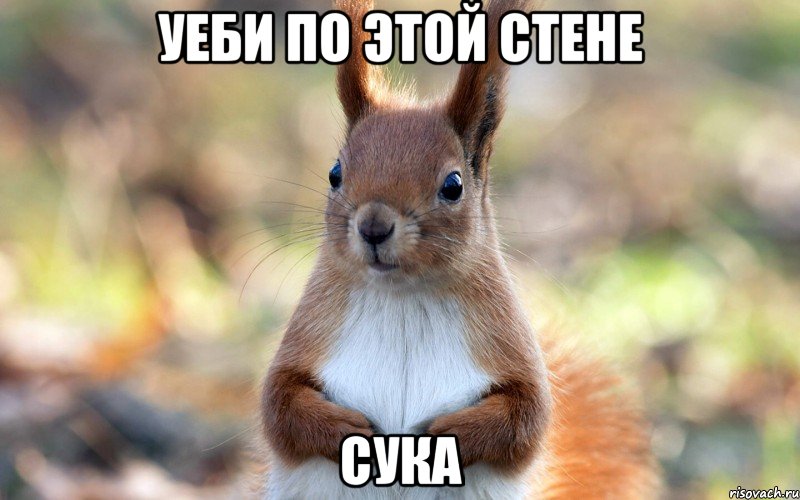 Уеби по этой стене Сука