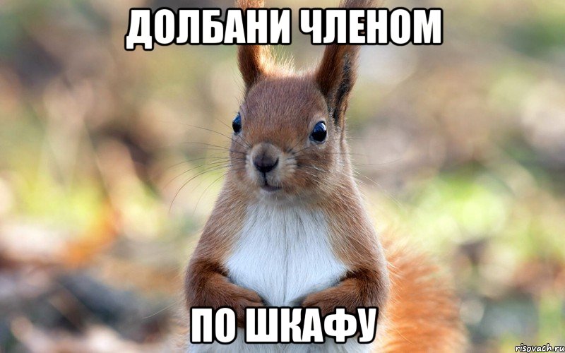 Долбани членом По шкафу