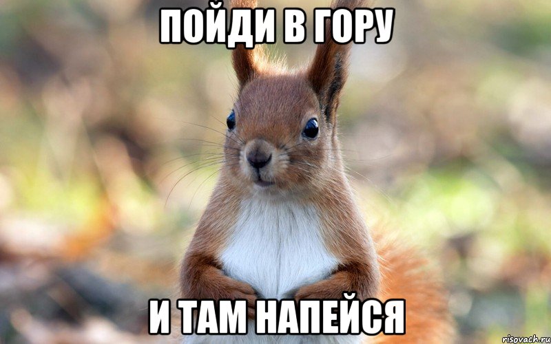 Пойди в гору И там напейся