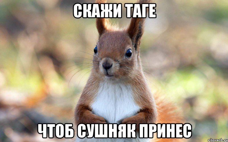 Скажи Таге Чтоб сушняк принес
