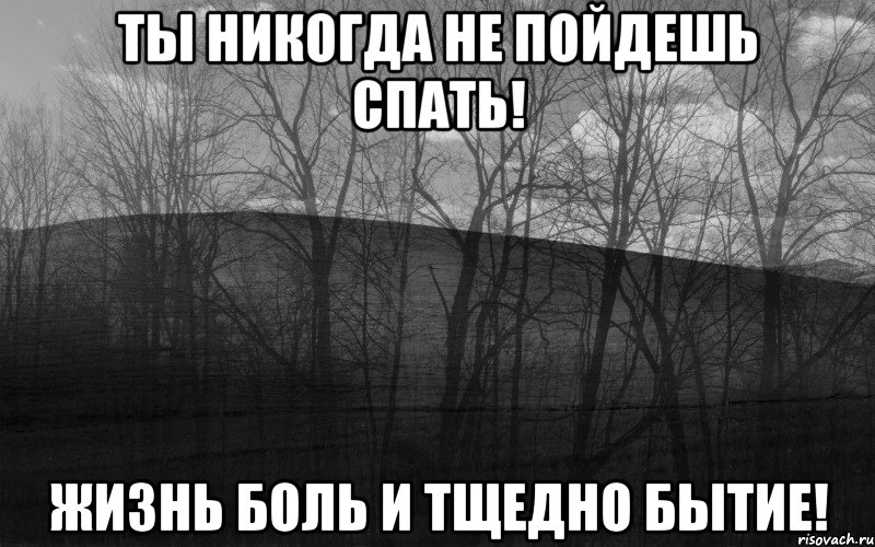 ты никогда не пойдешь спать! жизнь боль и тщедно бытие!, Мем безысходность тлен боль