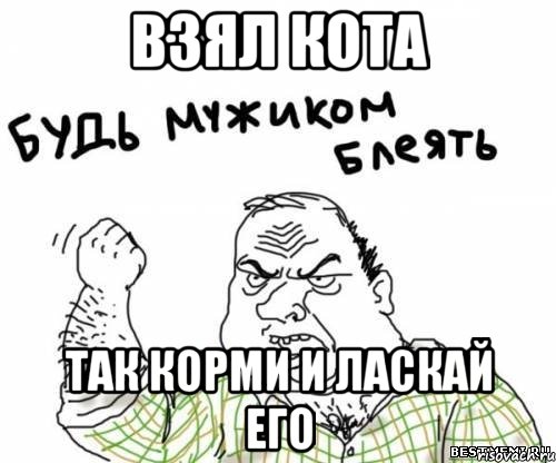 взял кота так корми и ласкай его, Мем блять