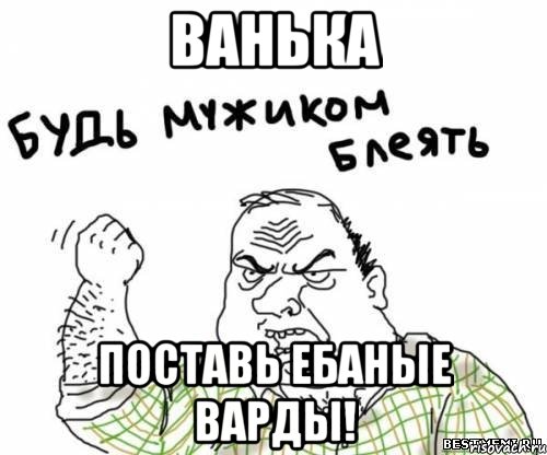 Ванька Поставь ебаные варды!, Мем блять