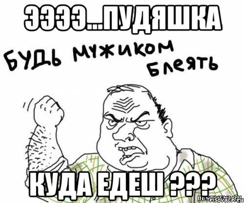 ЭЭЭЭ...ПУДЯШКА КУДА ЕДЕШ ???, Мем блять