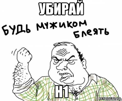 убирай h1, Мем блять
