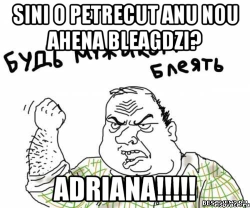 sini o petrecut anu nou ahena bleagdzi? ADRIANA!!!!!, Мем блять
