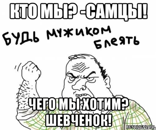 Кто мы? -Самцы! Чего мы хотим? Шевченок!