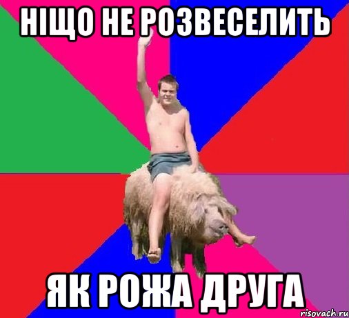 Ніщо не розвеселить Як рожа друга