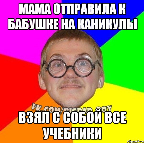 мама отправила к бабушке на каникулы взял с собой все учебники, Мем ботан