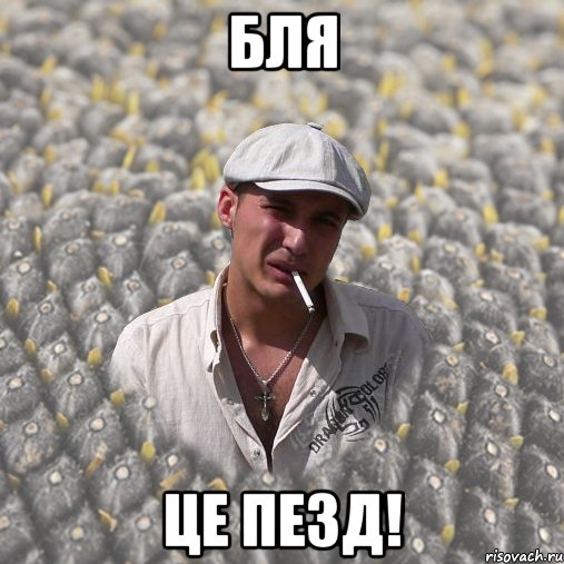 бля це пезд!