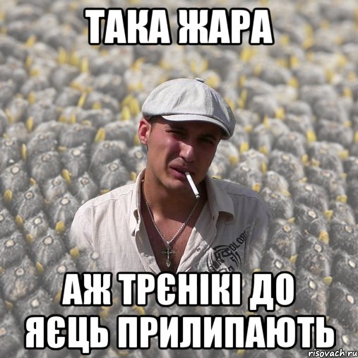 така жара аж трєнікі до яєць прилипають
