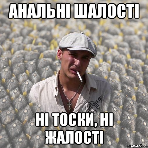 анальні шалості ні тоски, ні жалості