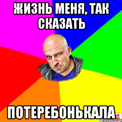 Жизнь меня, так сказать Потеребонькала