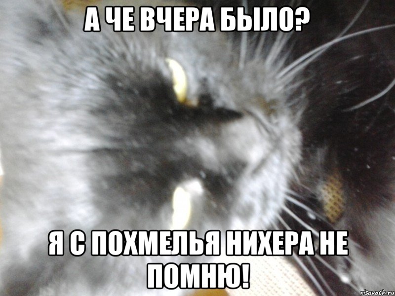 А че вчера было? Я с похмелья нихера не помню!