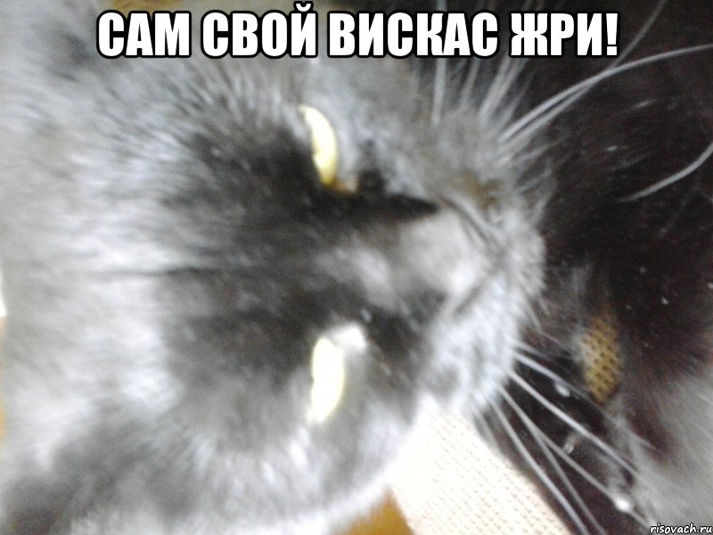 Сам свой вискас жри! 