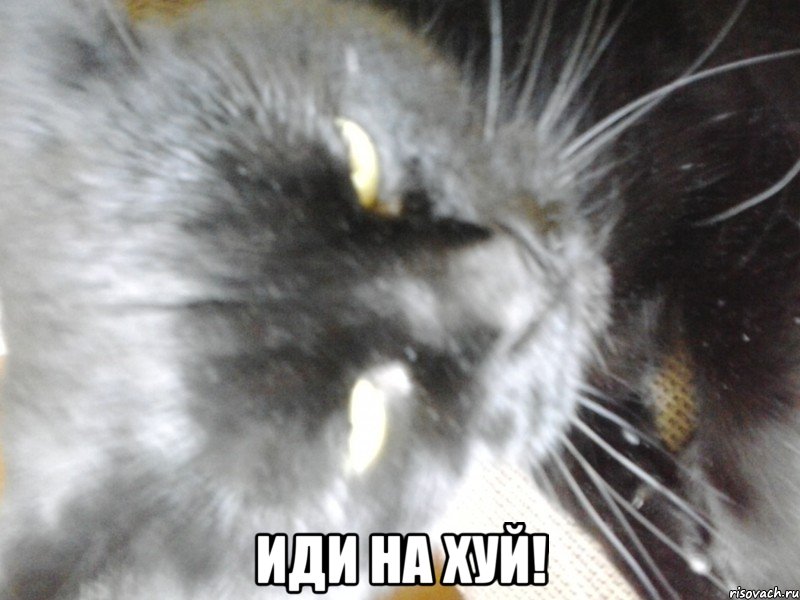  Иди на хуй!