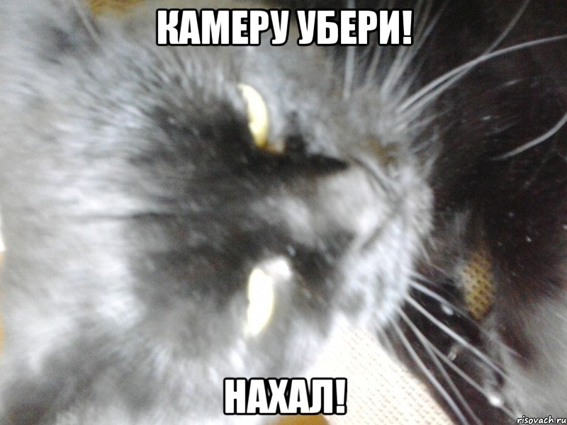 Камеру убери! Нахал!