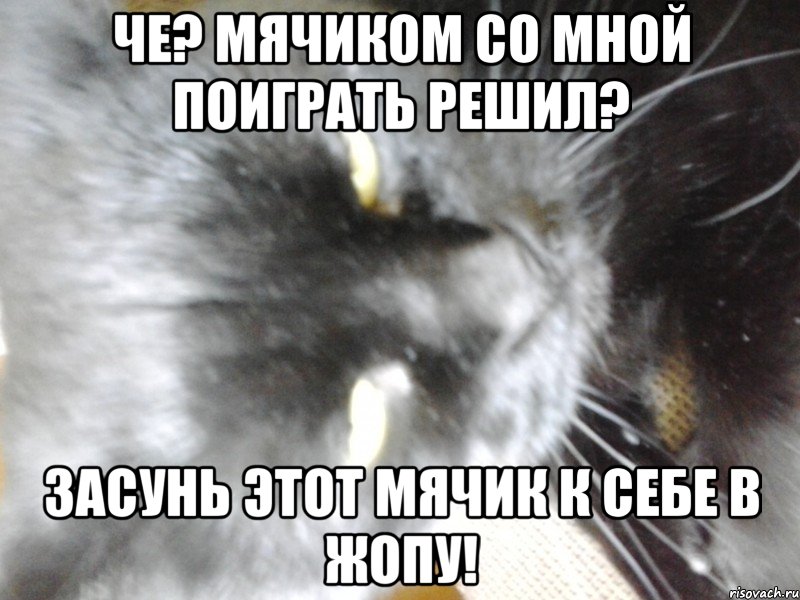 Че? Мячиком со мной поиграть решил? Засунь этот мячик к себе в жопу!