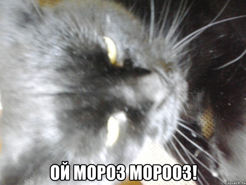  Ой мороз морооз!
