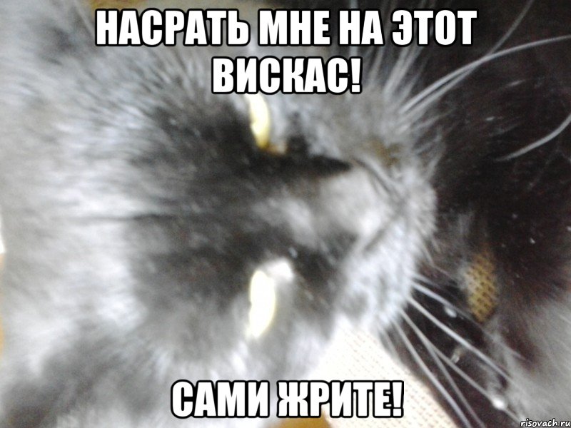 Насрать мне на этот вискас! Сами жрите!