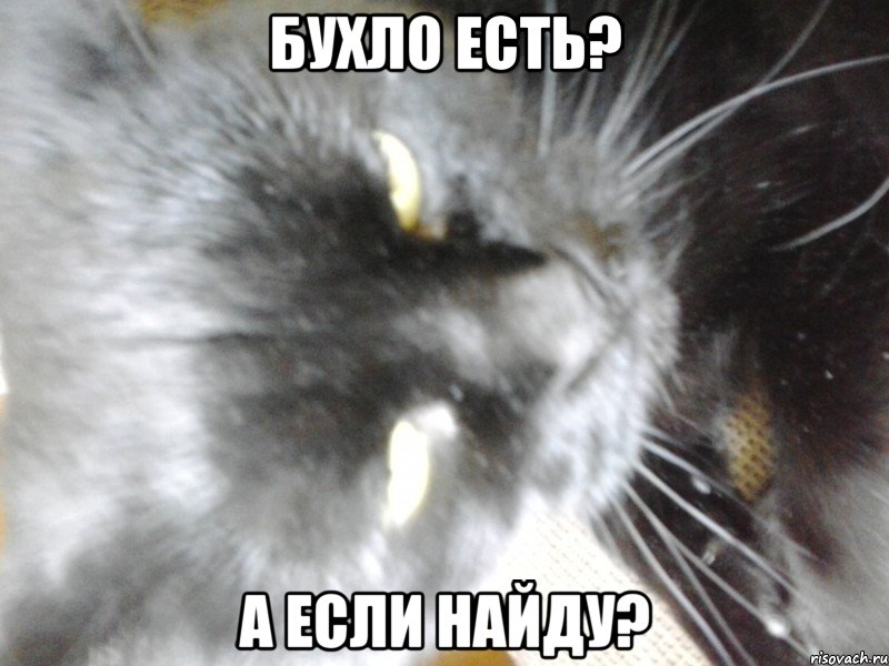 Бухло есть? А если найду?