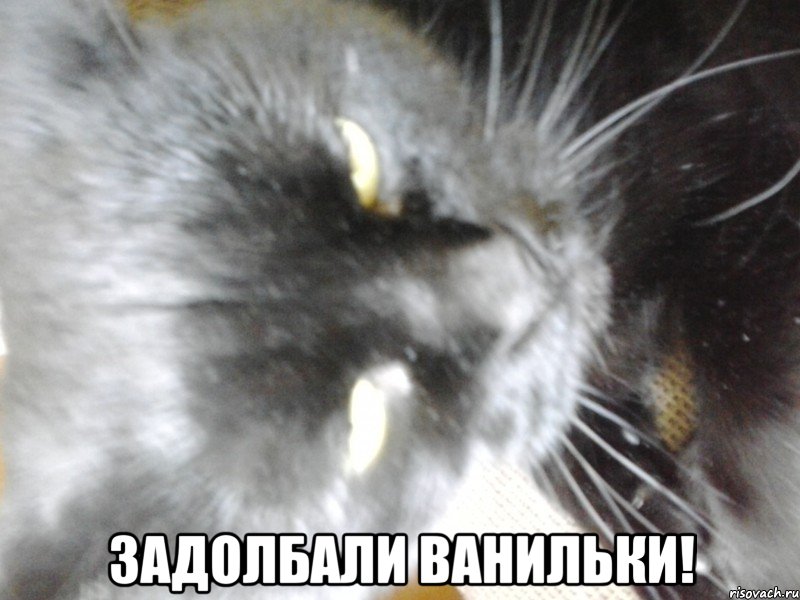  Задолбали ванильки!