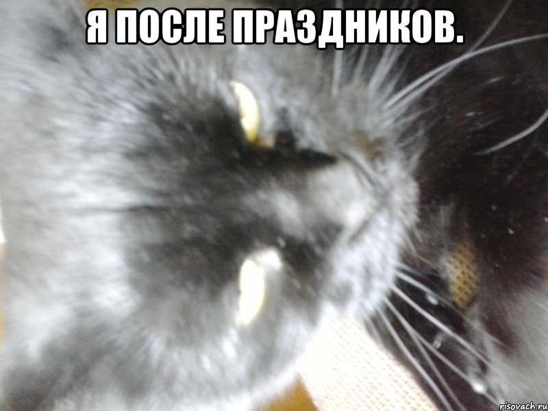 Я после праздников. 