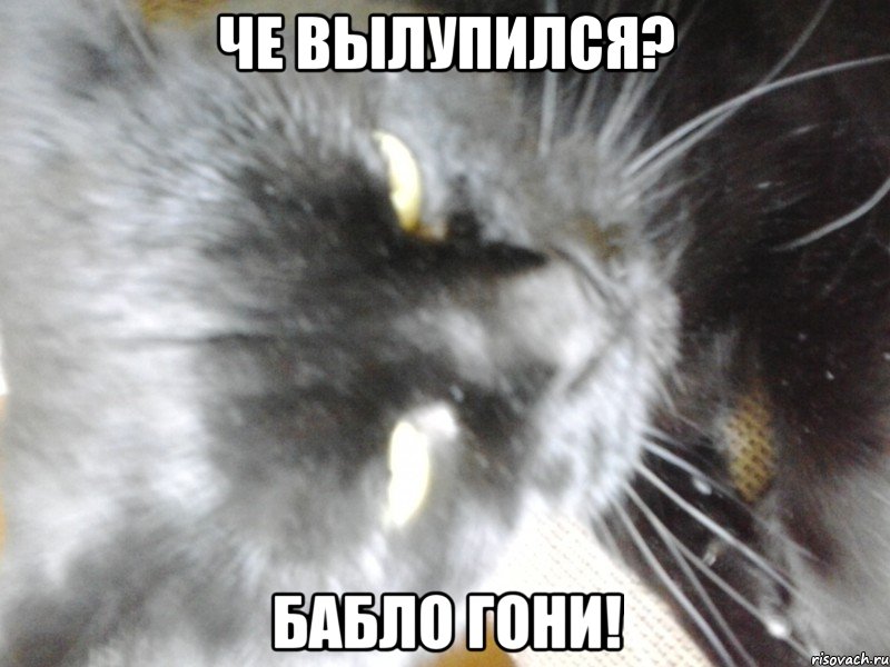 Че вылупился? Бабло гони!