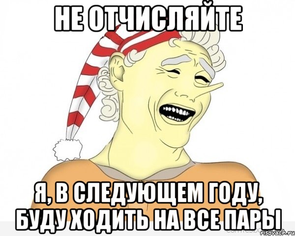 НЕ ОТЧИСЛЯЙТЕ Я, В СЛЕДУЮЩЕМ ГОДУ, БУДУ ХОДИТЬ НА ВСЕ ПАРЫ, Мем буратино