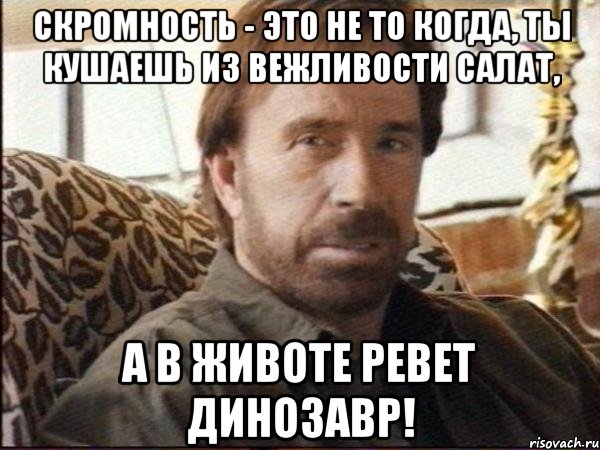 скромность - это не то когда, ты кушаешь из вежливости салат, а в животе ревет динозавр!, Мем чак норрис