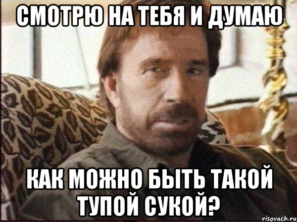 Смотрю на тебя и думаю как можно быть такой тупой сукой?, Мем чак норрис