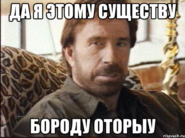 Да я этому существу Бороду оторыу, Мем чак норрис