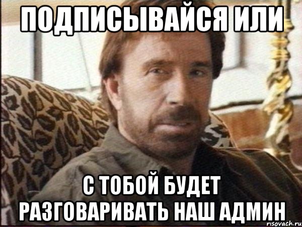 Подписывайся или с тобой будет разговаривать наш админ, Мем чак норрис