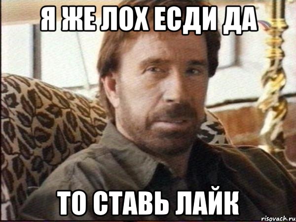 я же лох есди да то ставь лайк, Мем чак норрис