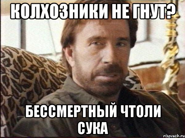 колхозники не гнут? бессмертный чтоли сука, Мем чак норрис