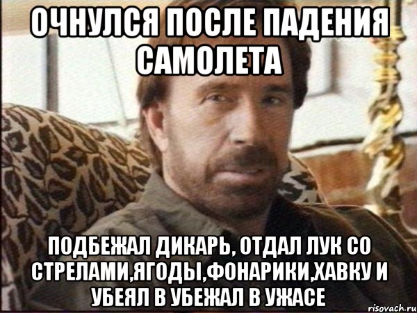 Очнулся после падения самолета Подбежал дикарь, отдал лук со стрелами,ягоды,фонарики,хавку и убеял в убежал в ужасе, Мем чак норрис