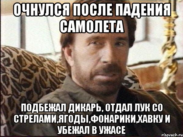 Очнулся после падения самолета Подбежал дикарь, отдал лук со стрелами,ягоды,фонарики,хавку и убежал в ужасе, Мем чак норрис