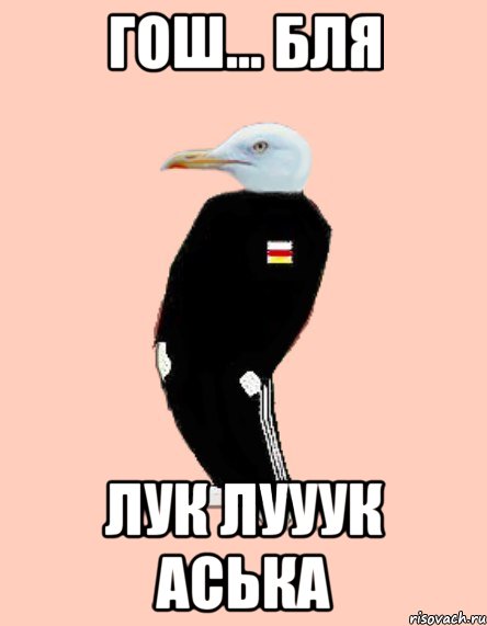 Гош... Бля Лук лууук аська