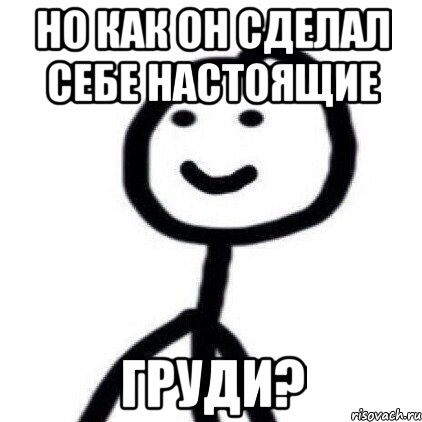 но как он сделал себе настоящие груди?, Мем Теребонька (Диб Хлебушек)