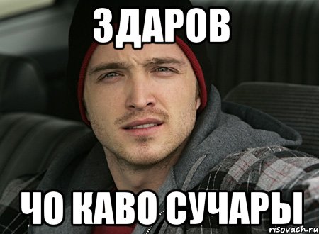 ЗДАРОВ ЧО КАВО СУЧАРЫ, Мем че каво сучара