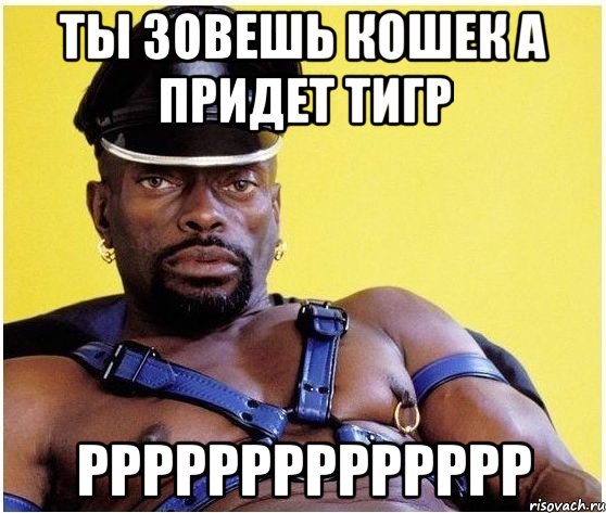 Ты зовешь кошек а придет тигр РРРРРРРРРРРРРр, Мем Черный властелин