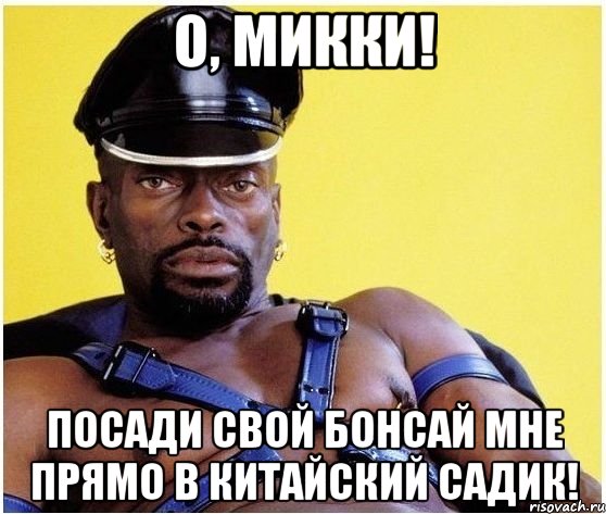 О, Микки! Посади свой бонсай мне прямо в китайский садик!, Мем Черный властелин