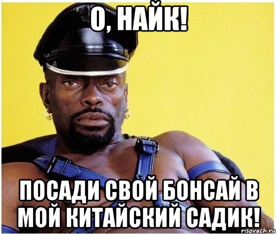 О, Найк! Посади свой бонсай в мой китайский садик!, Мем Черный властелин