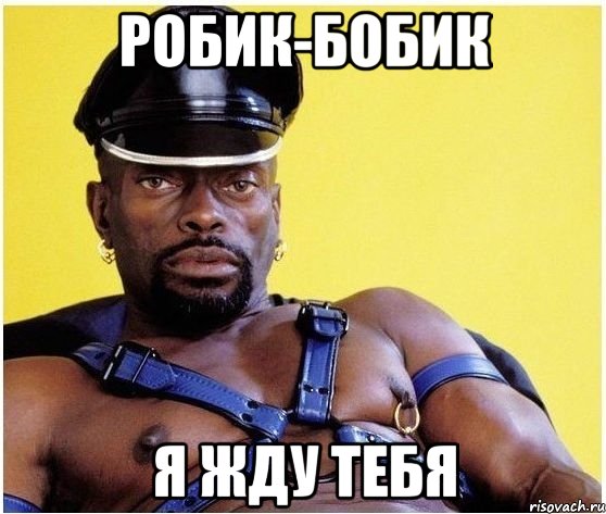 робик-бобик я жду тебя, Мем Черный властелин