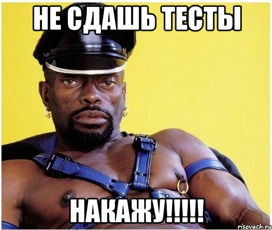 не сдашь тесты накажу!!!!!, Мем Черный властелин