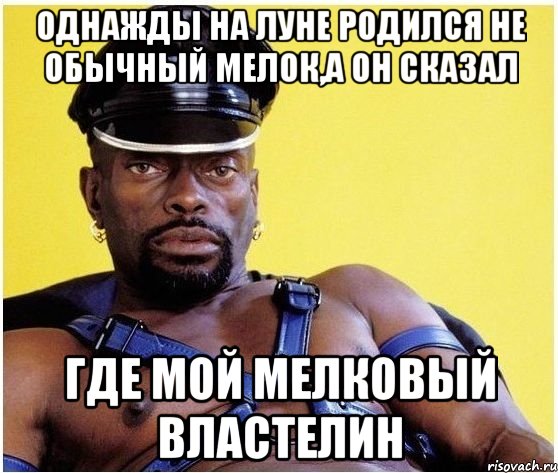 Однажды на Луне родился не обычный мелок,а он сказал Где Мой мелковый властелин, Мем Черный властелин