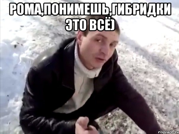Рома,понимешь,гибридки это всё) , Мем Четко
