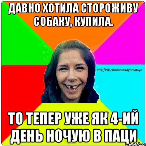 давно хотила стороживу собаку, купила. то тепер уже як 4-ий день ночую в паци, Мем Чотка мала