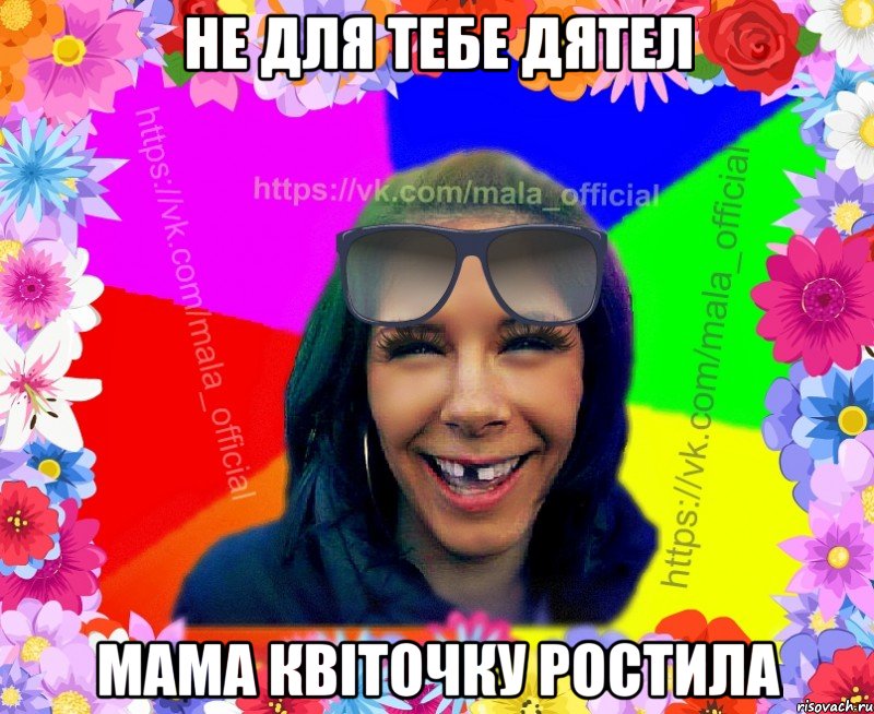 Не для тебе дятел Мама квіточку ростила